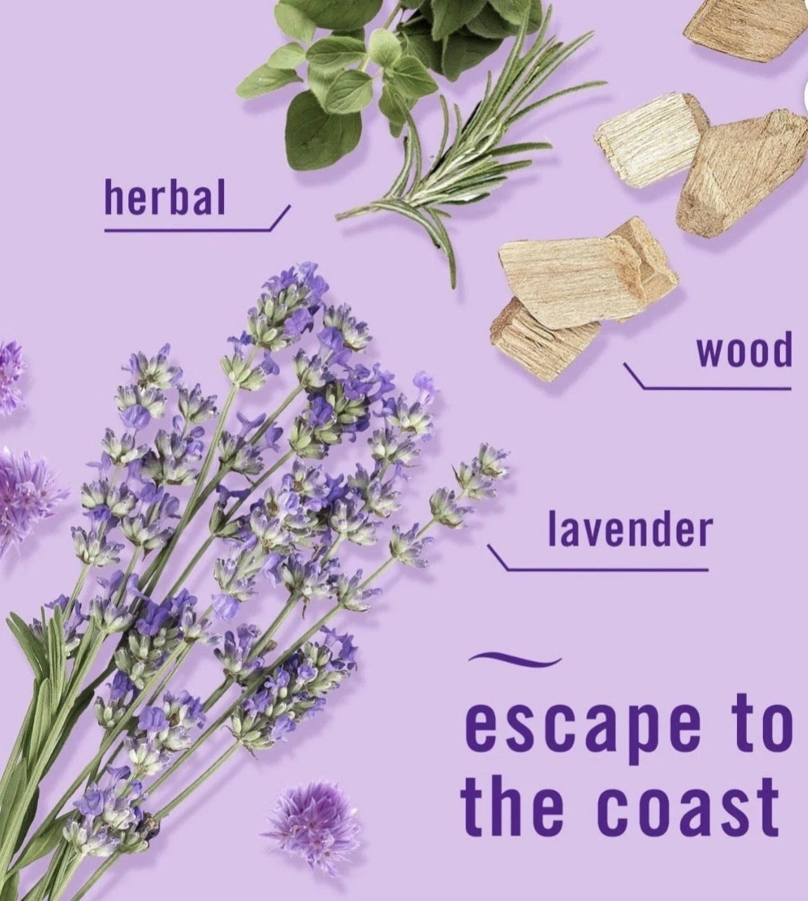 Febreze Plug Refills – Mediterranean Lavender & Downy April Fresh Scents.